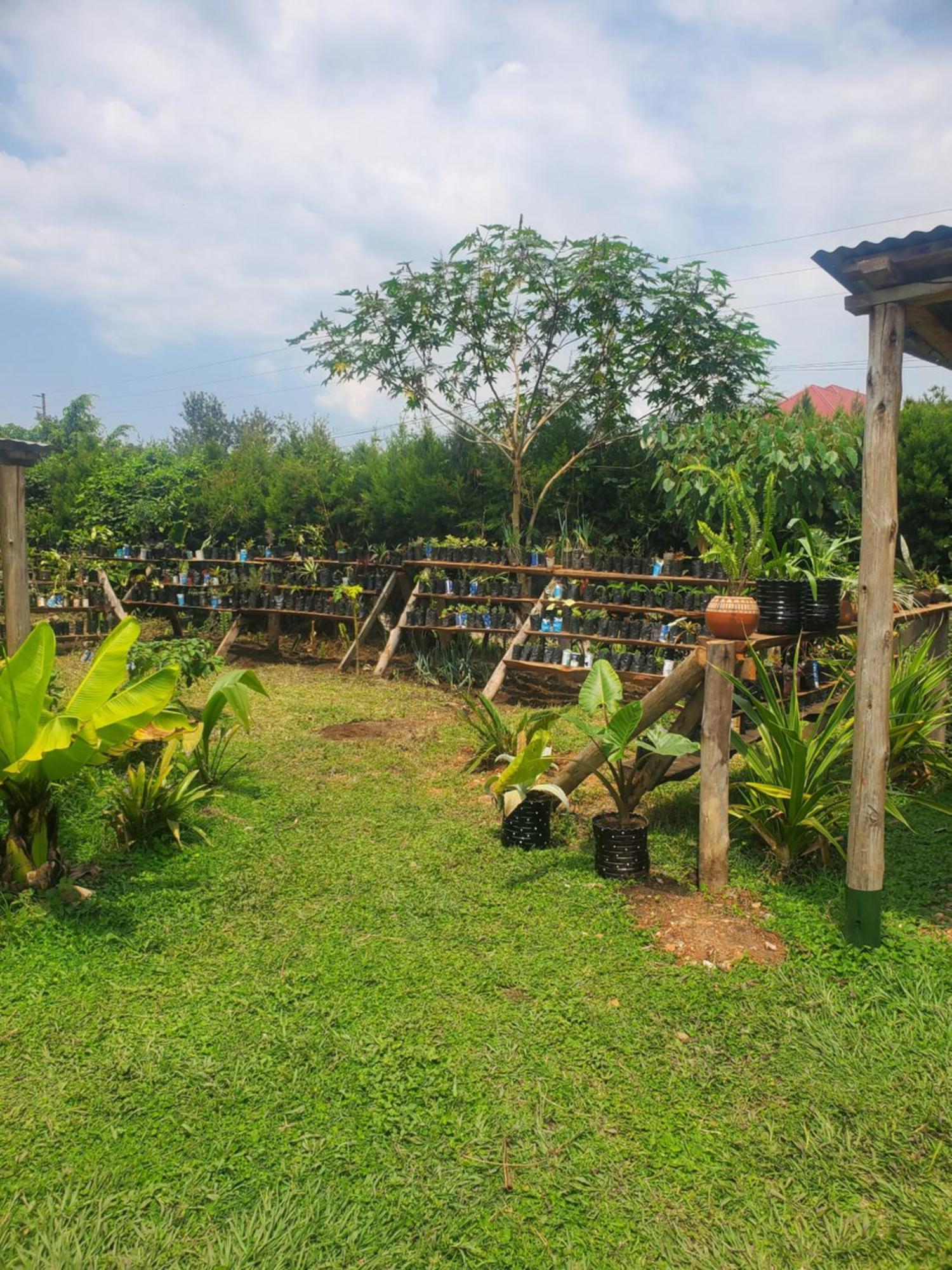Gaia Eco Hub Bnb Fort Portal Ngoại thất bức ảnh