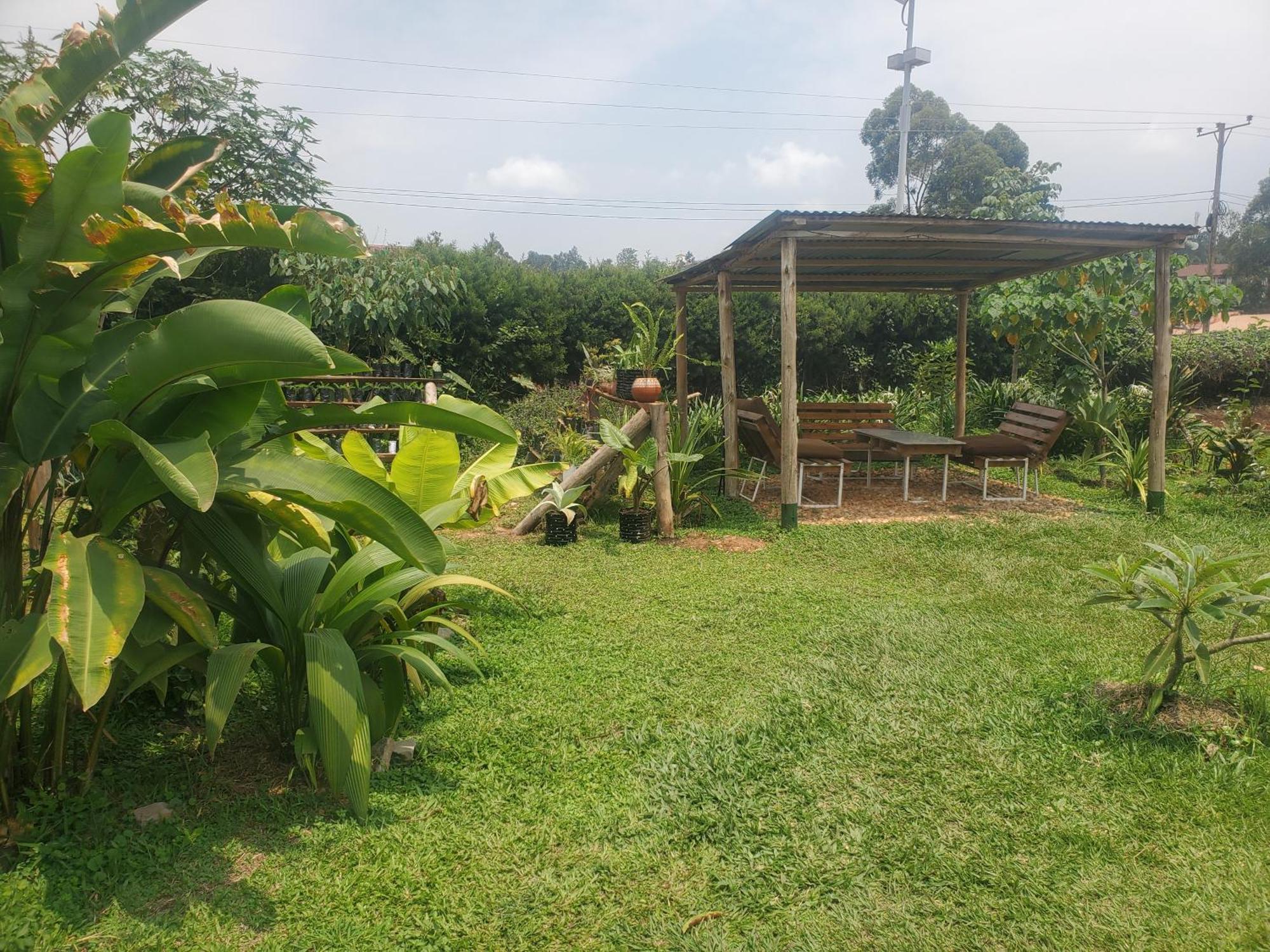 Gaia Eco Hub Bnb Fort Portal Ngoại thất bức ảnh