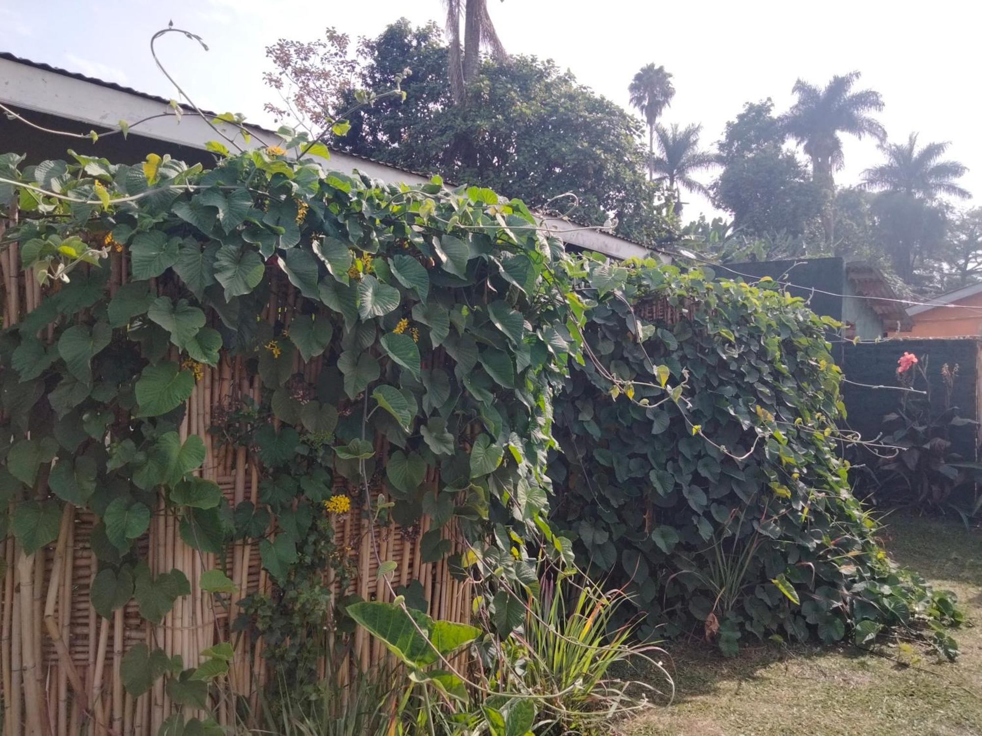 Gaia Eco Hub Bnb Fort Portal Ngoại thất bức ảnh